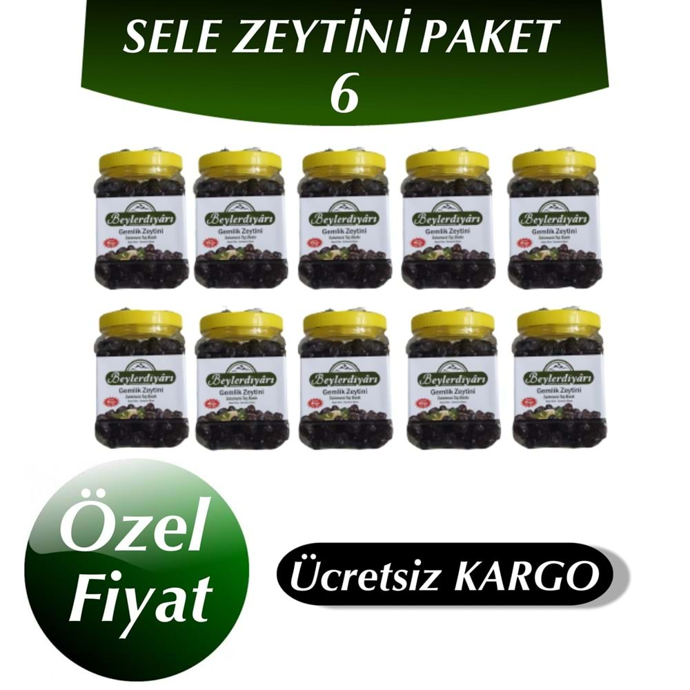 TUZSUZ SELE ZEYTİNİ PAKETİ