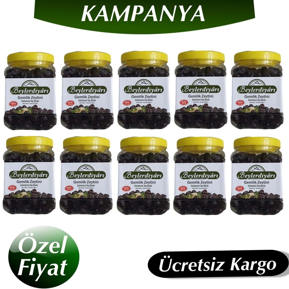 GURME ZEYTİN 10 KG