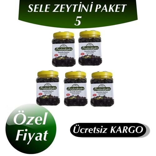 TUZSUZ SELE ZEYTİNİ PAKETİ 5